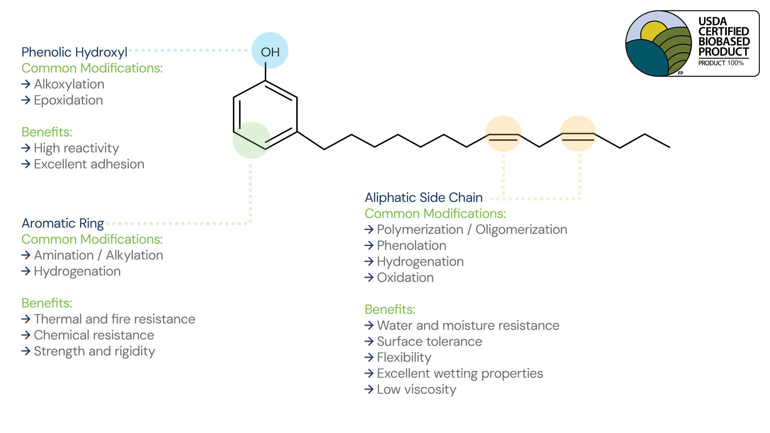 The structure of cardanol, the main component distilled from CNSL, and descriptions of the common modifications and benefits of each of the components of cardanol.