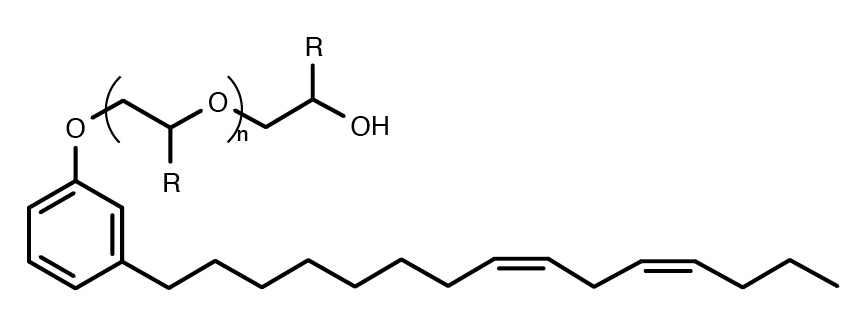 Average chemical structure of alkoxylated cardanol